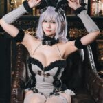 sora 53